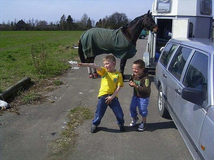 Hannoveraner Lassie - 2 frække unger :) og en hest der tålmodigt venter på en træningstur på Næstved terrænbane. billede 13