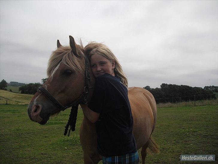 Anden særlig race smørblomst<3 savnes!(solgt) - jeg elsekr dig og det ville jeg altid gøre!<33
taark fordi i kigget firbi!=) 
foto:en der hedder julie! billede 20