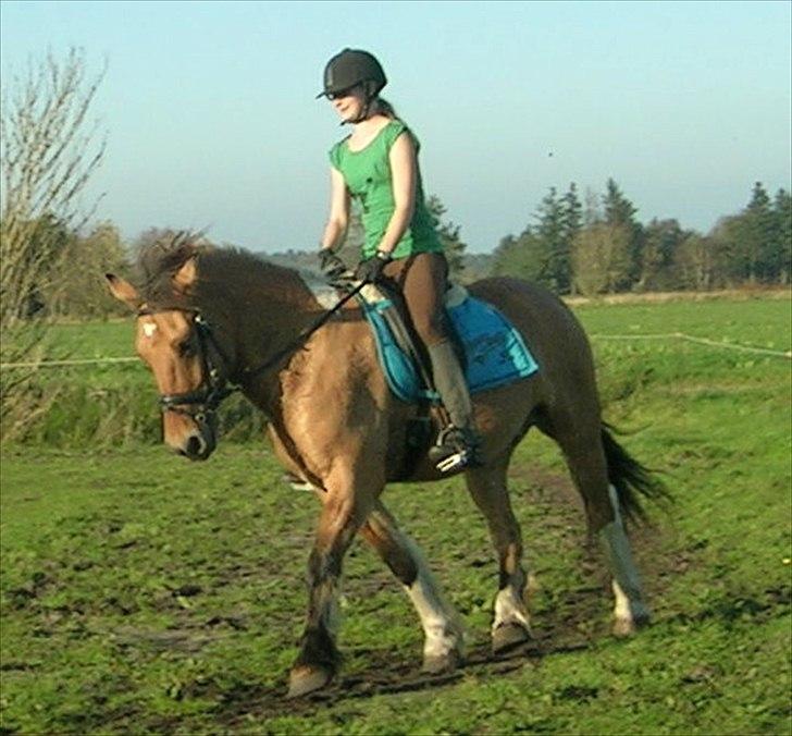 Anden særlig race B.S billede 12