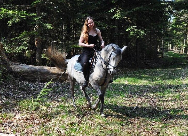 Anden særlig race Frida - Tossen, det der med at så stille ikk.. :P billede 10