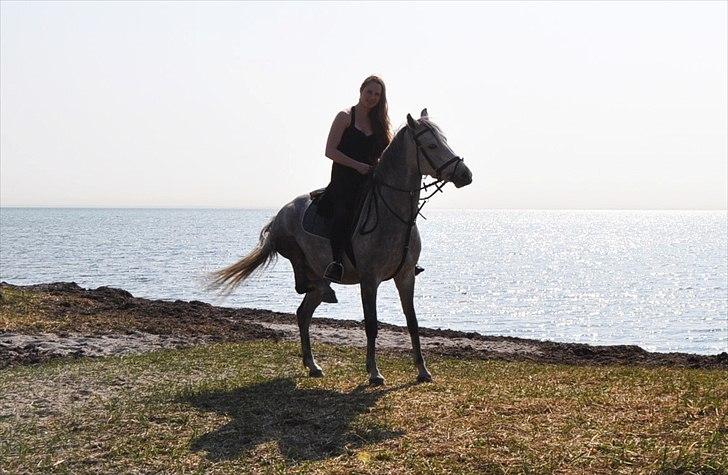 Anden særlig race Frida - Årh lille pus, klør det :P billede 11