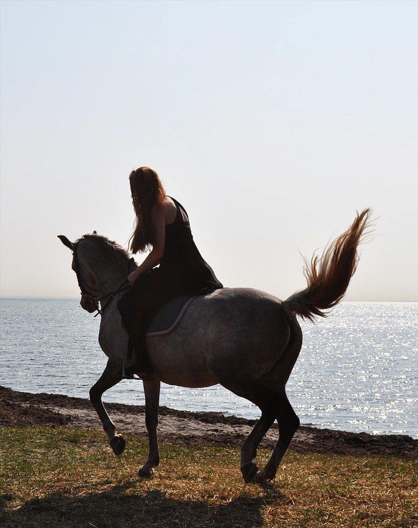 Anden særlig race Frida - Et eller andet super fedt over det her billede! billede 12