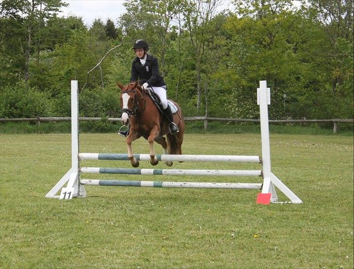 DSP Fie Engholm. billede 8