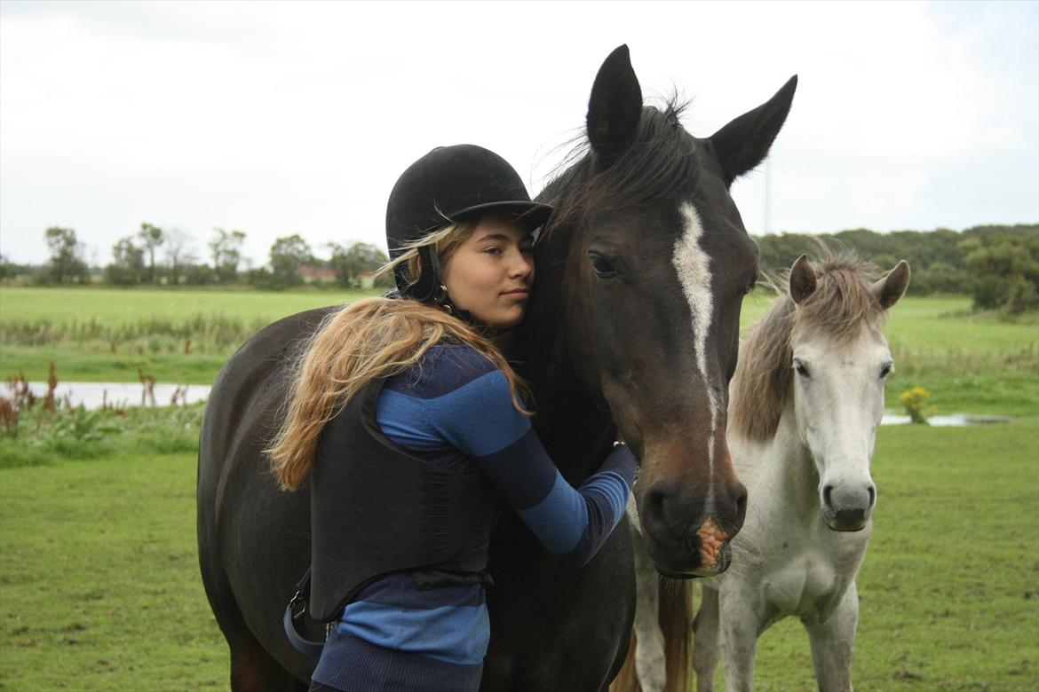 Anden særlig race Aavang's Lucas - Min fantastiske pony! billede 3