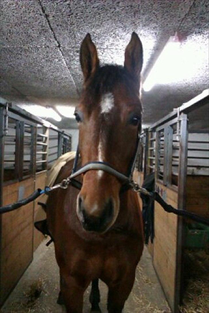 Oldenborg Complete billede 1