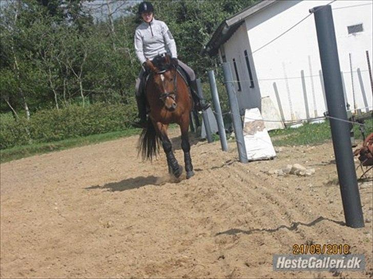 Oldenborg Complete billede 2