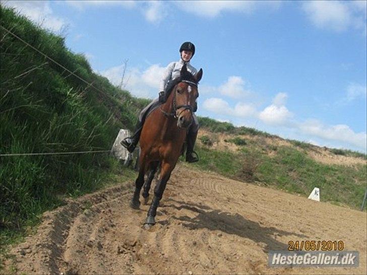 Oldenborg Complete billede 3