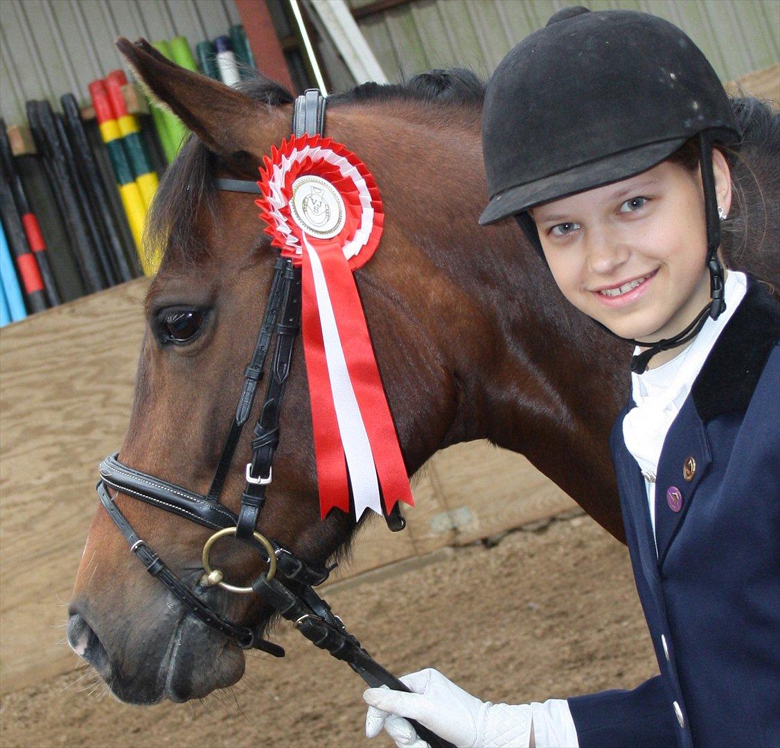 New Forest Starlight - Vinder af LB2 til VJS stævne billede 3