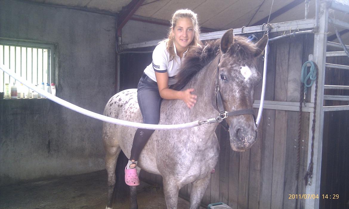 Anden særlig race Belle  - Åha lille pony!  billede 13