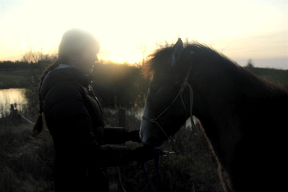 Lusitano Giselle - 19 # Gudo ~ Seeking the Truth (Working hard to reah a goal) - Januar 2012 billede 19