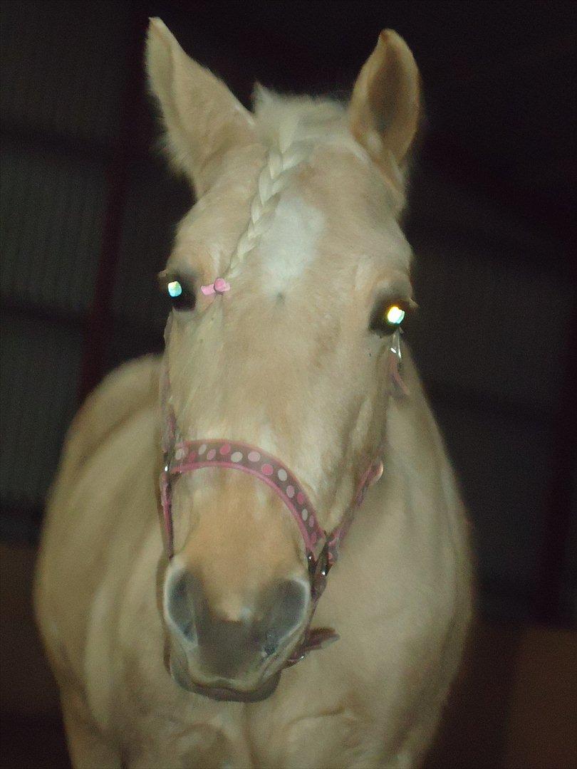 Anden særlig race Milana  - putten :-* billede 15