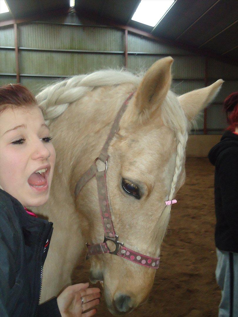 Anden særlig race Milana  billede 17