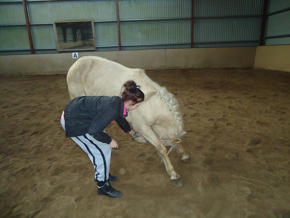 Anden særlig race Milana  - hæhæ, for sjov skyld :-D billede 9