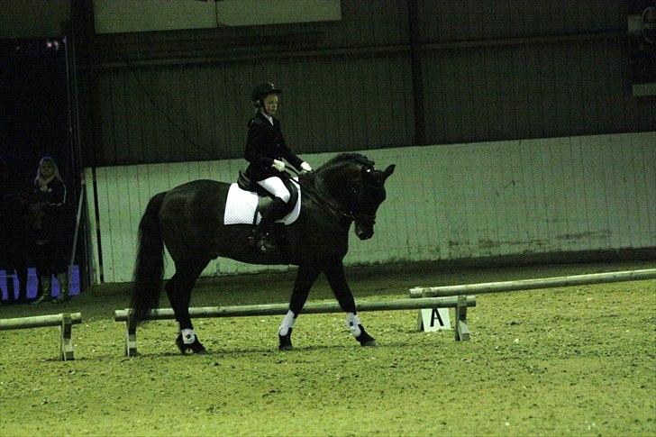 Anden særlig race Super star. <3 - Første dressur stævne på super star (klubstævne) 3.plads (første uplaceret)  billede 7