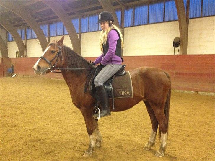 Anden særlig race Maggie<3 billede 9