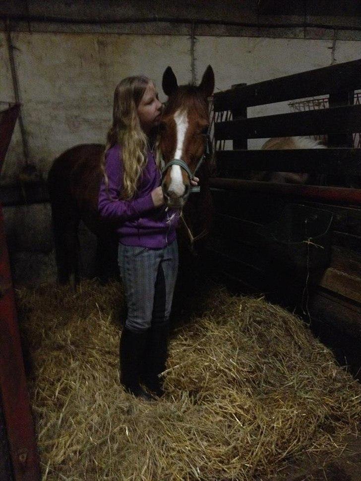 Anden særlig race Maggie<3 billede 11