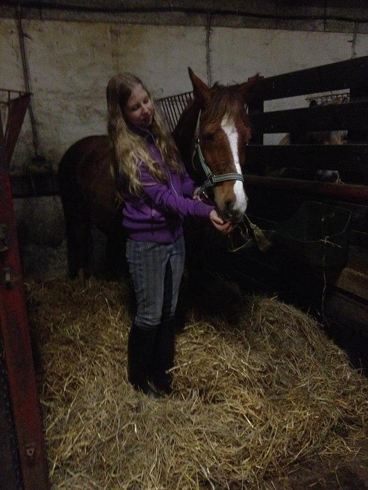 Anden særlig race Maggie<3 billede 14