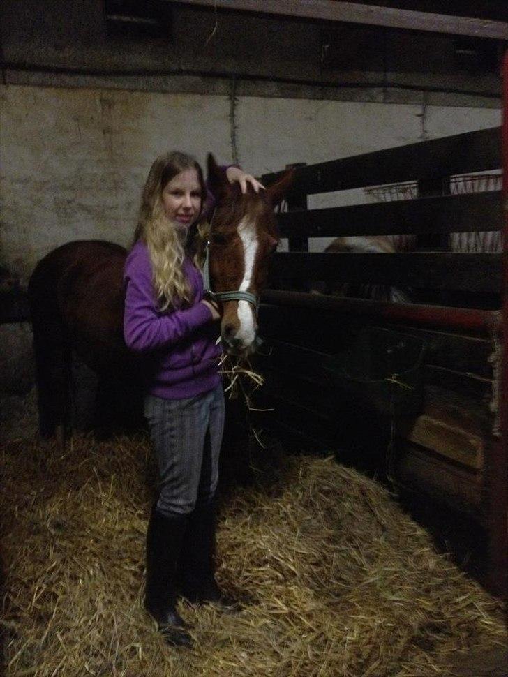 Anden særlig race Maggie<3 billede 15