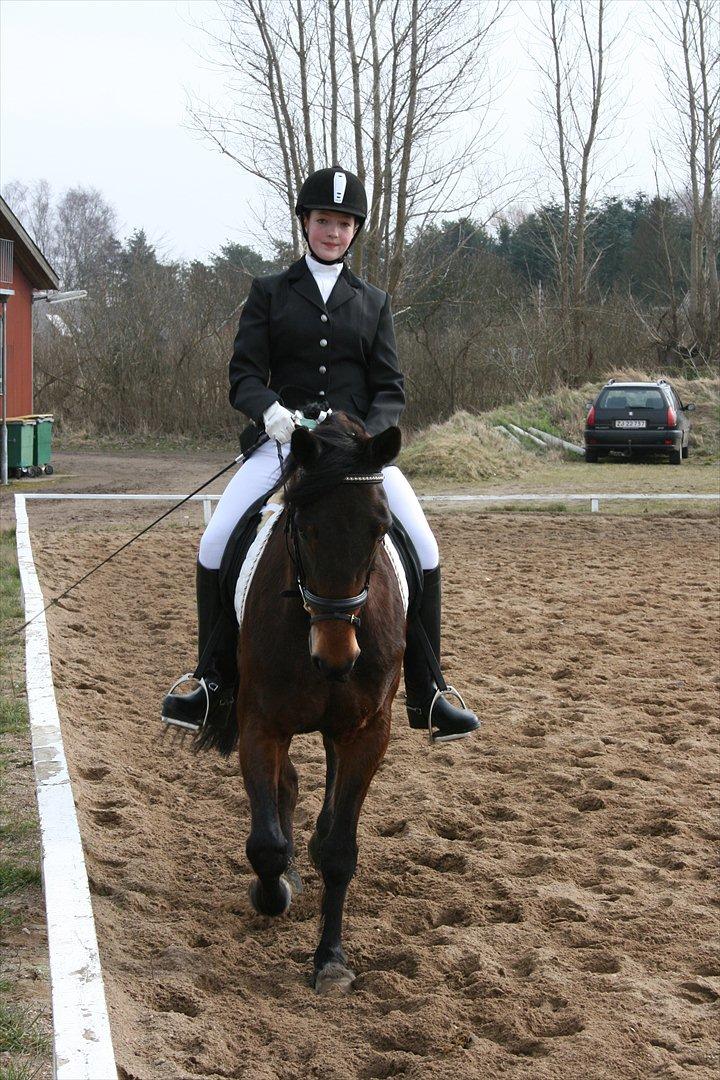 Traver Helios King - Stævne på LSR :) billede 7