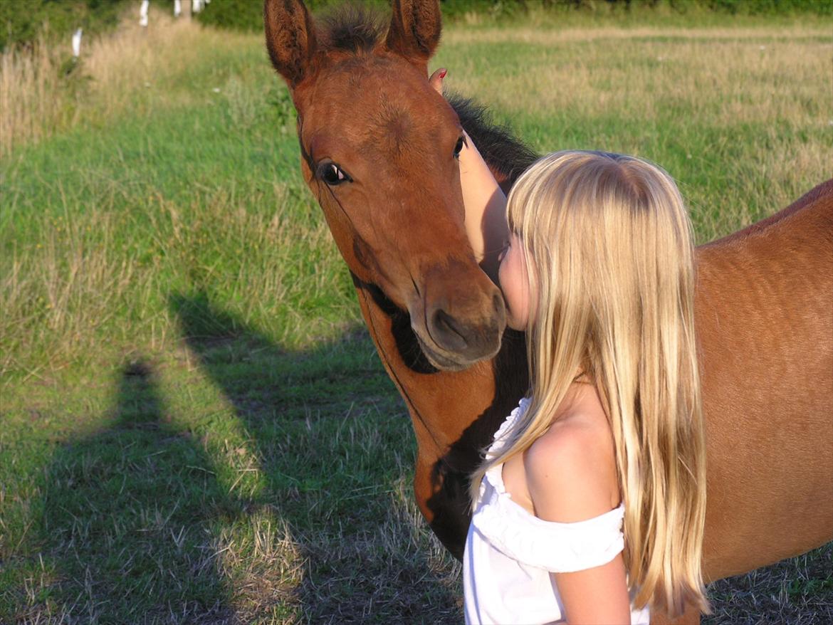 Holstener Casey billede 10