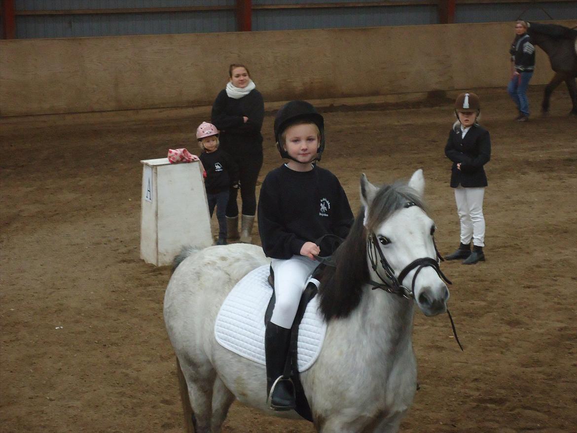 Anden særlig race Askepot billede 1