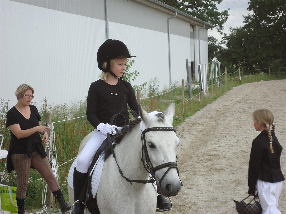 Anden særlig race Askepot billede 4