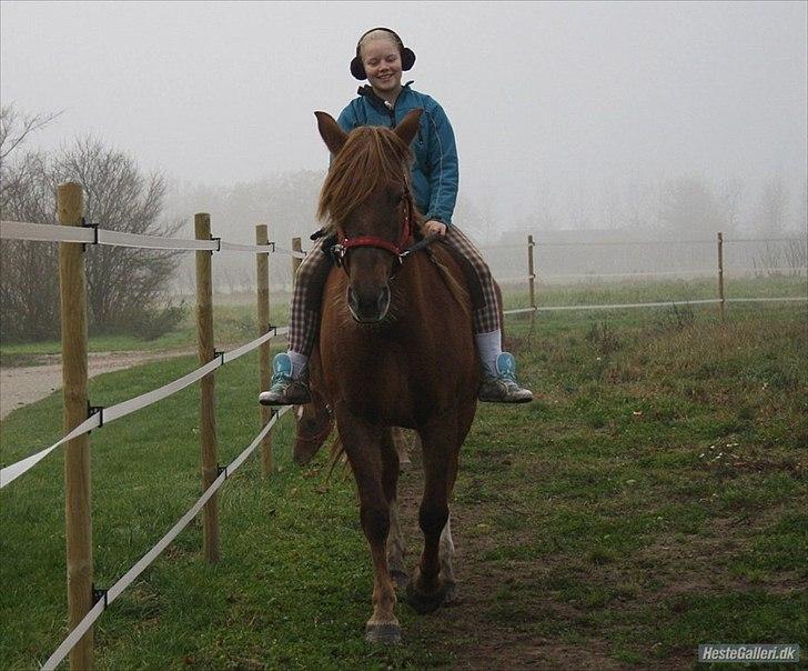 Anden særlig race MJ Mille | Tidl Låne Hest - Foto af Maria :)
- Lad venligts vær med at kommentere min minus hjelm da det kun var denne gang det skete!:) billede 4