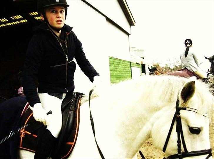 New Forest Oliver<3  billede 9