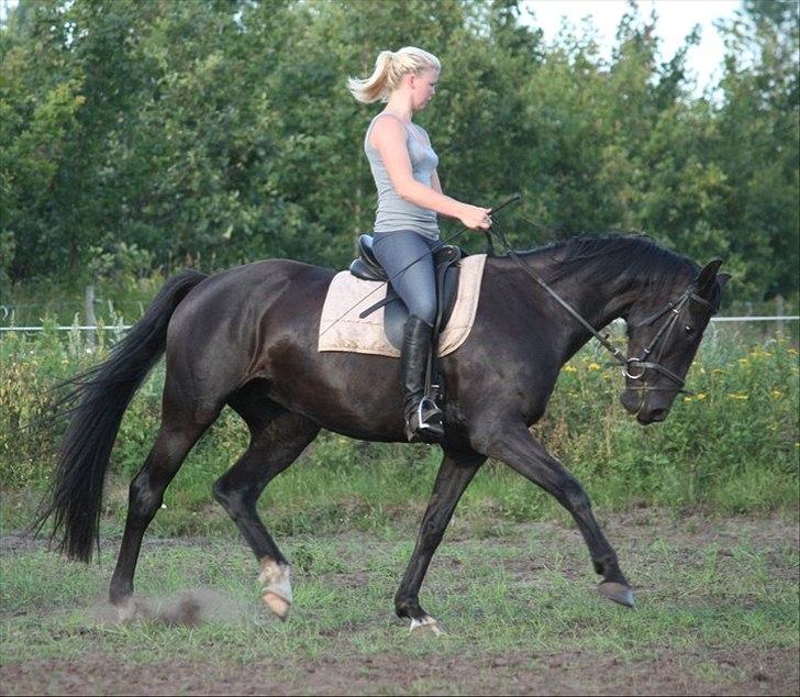 Oldenborg Savannah - Sommer 2011 billede 2