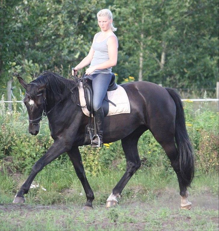 Oldenborg Savannah - Sommer 2011 billede 4