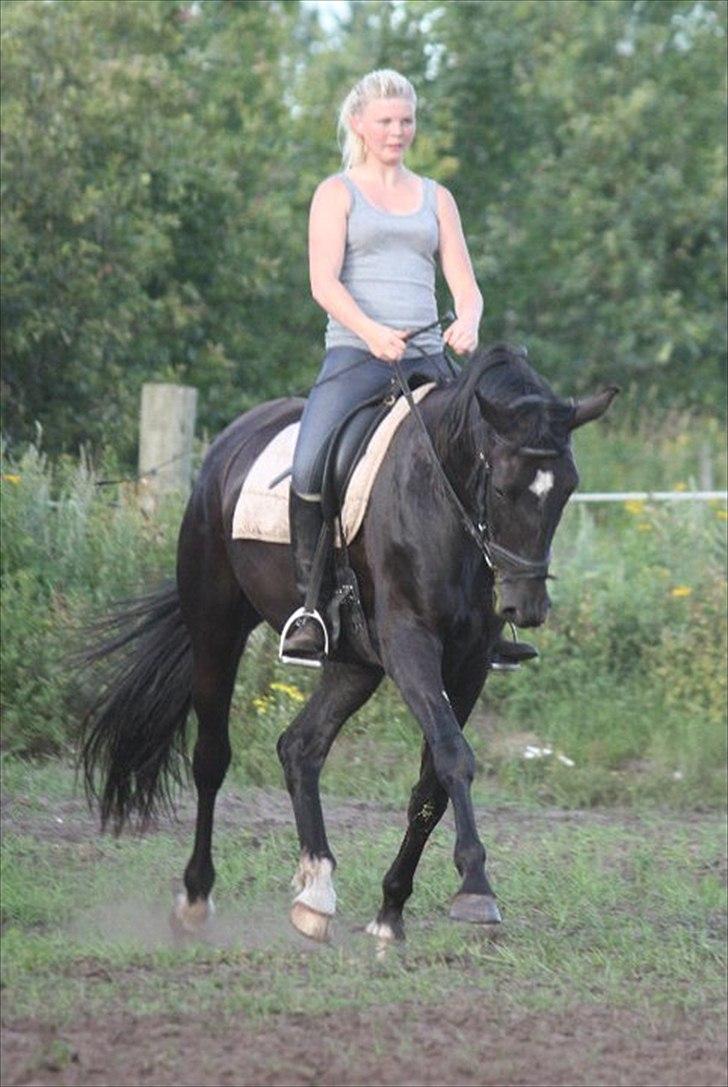 Oldenborg Savannah - Sommer 2011 billede 5