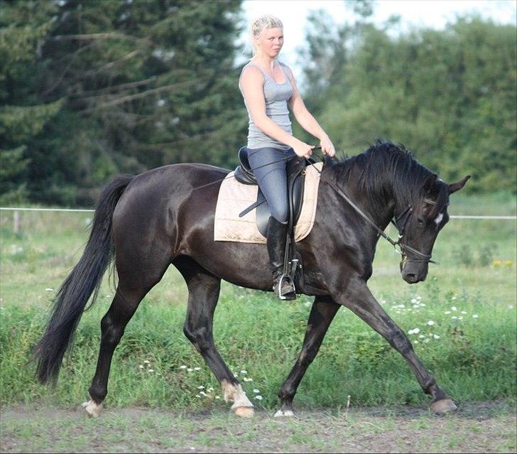 Oldenborg Savannah - Sommer 2011 billede 6