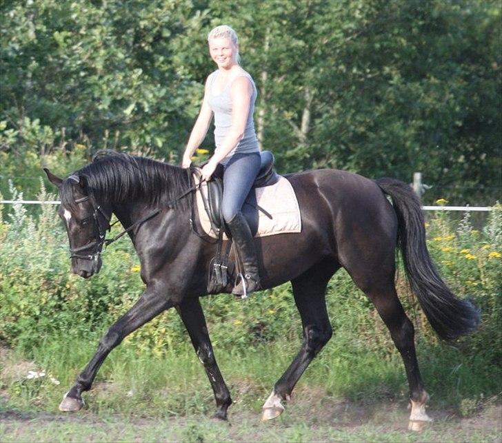 Oldenborg Savannah - Sommer 2011 billede 8