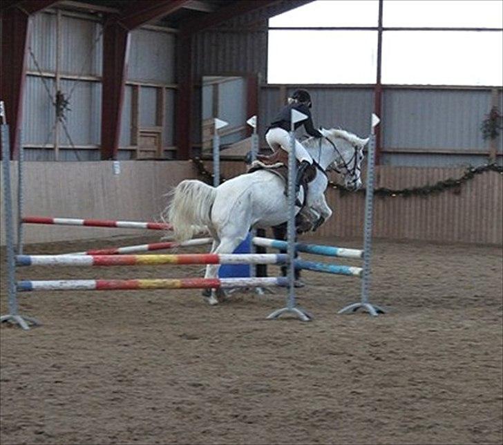 Anden særlig race | Silas <3. - Love is like a war, easy to start, difficult to stop, and never to forget. | Foto: Signe Andresen.  billede 8