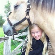 Fjordhest Fredrikke(hjælpe passer)