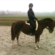 Anden særlig race Ainoa van uniken