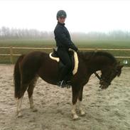 Anden særlig race Ainoa van uniken