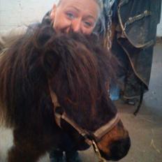 Anden særlig race Manse