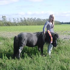 Anden særlig race Tøsen<3