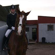 Anden særlig race Aksel<3