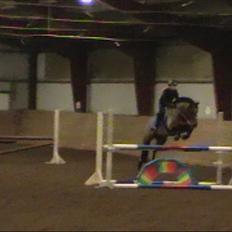 Anden særlig race OZZY