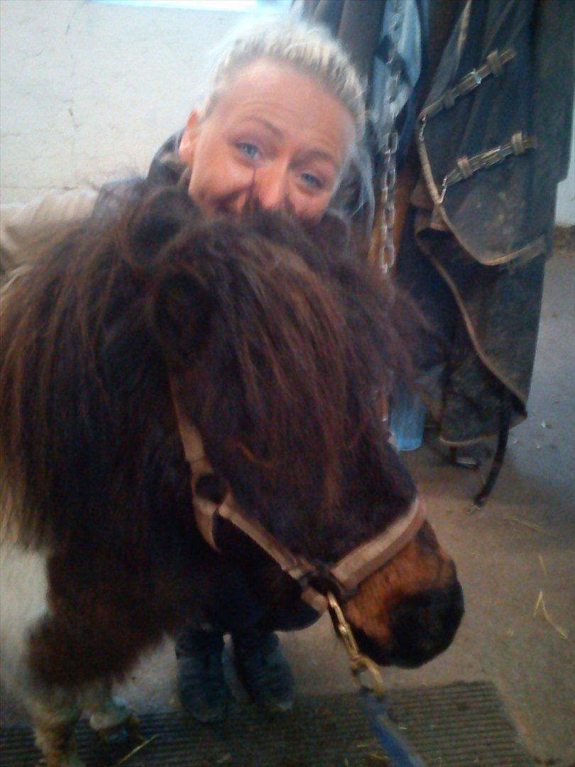 Anden særlig race Manse billede 1