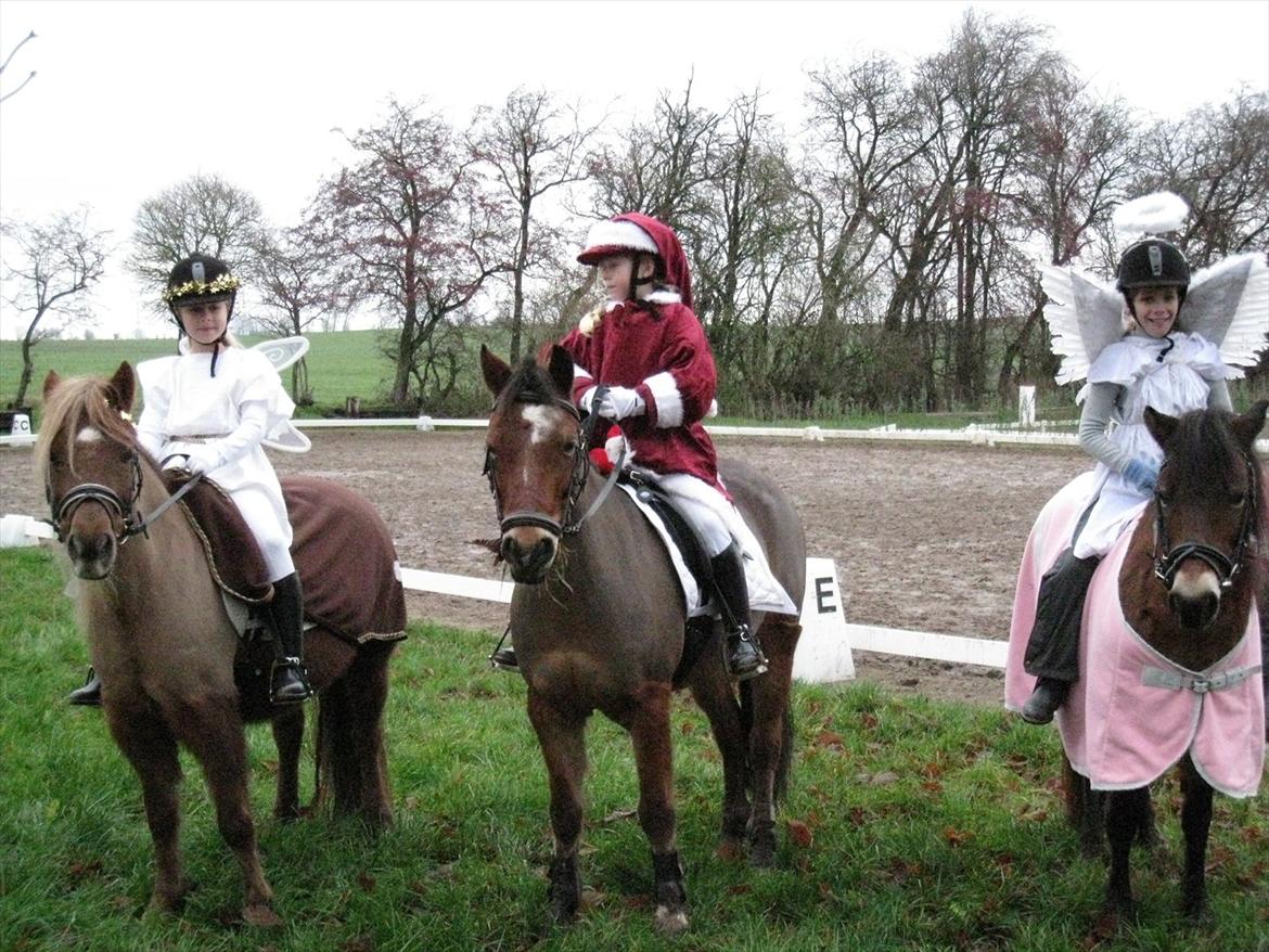 Dartmoor Sille<3 (i himlen) - Tak fordi I kiggede, læg gerne en kommentar+bedømmelse<3 billede 12