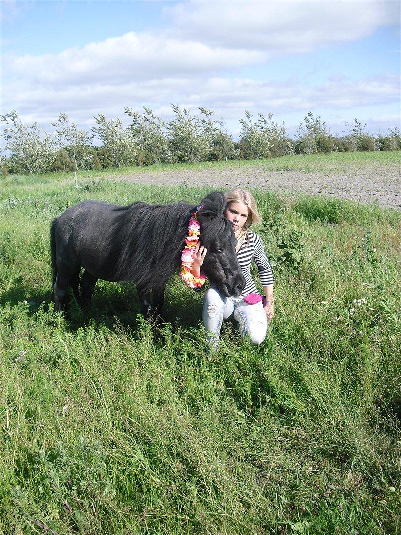 Anden særlig race Tøsen<3 billede 16