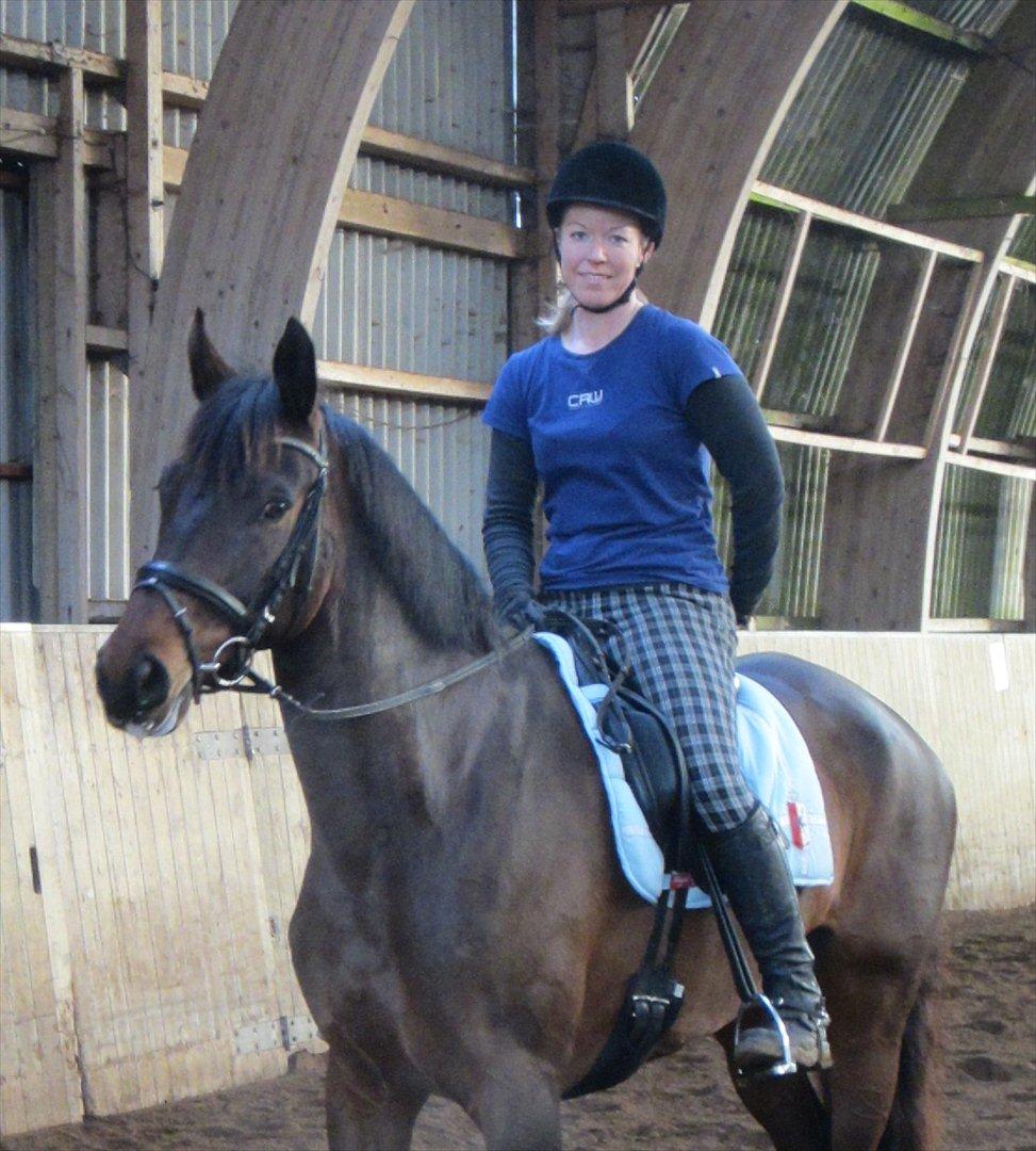 Dansk Varmblod Armanea Slot billede 1