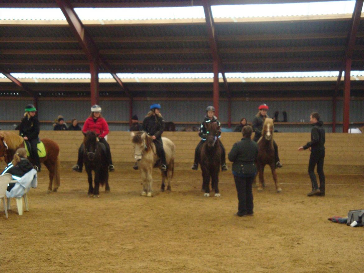 Islænder Disa Fra Fruehøj - Da vi får vores 1 plads i 4.5 :D billede 4