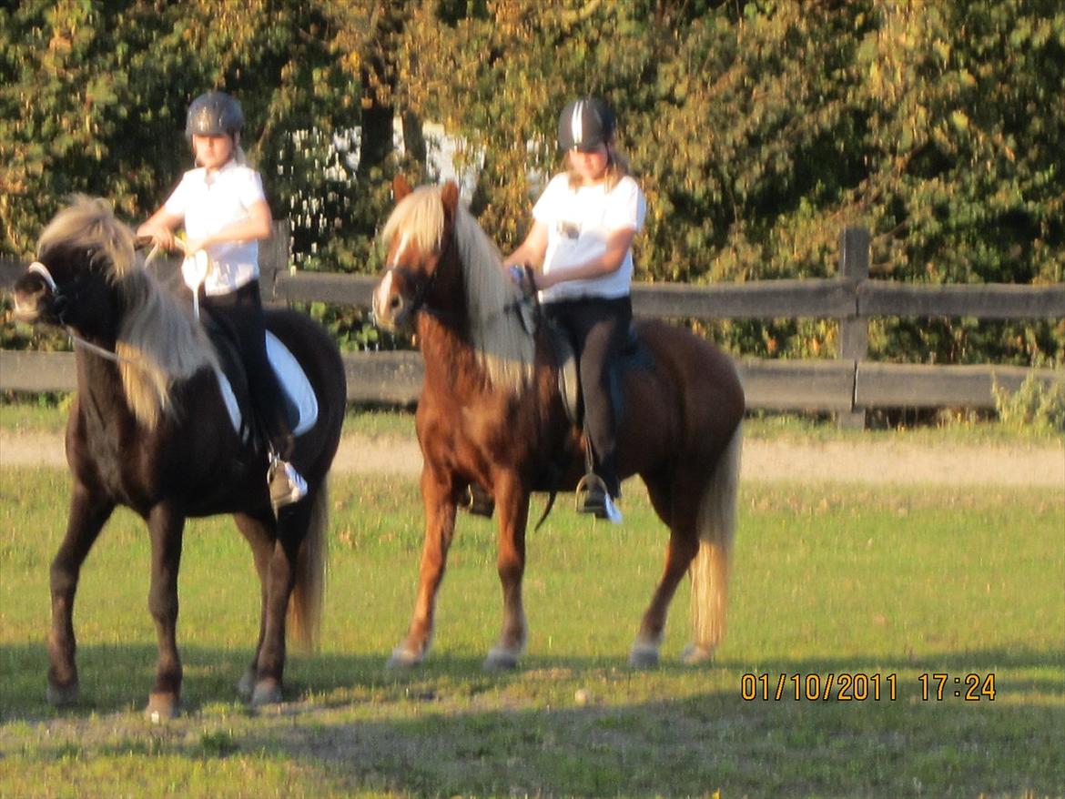 Islænder Disa Fra Fruehøj - Vi venter på Rosetter i 4.5 og T8 i Tvistur! billede 5