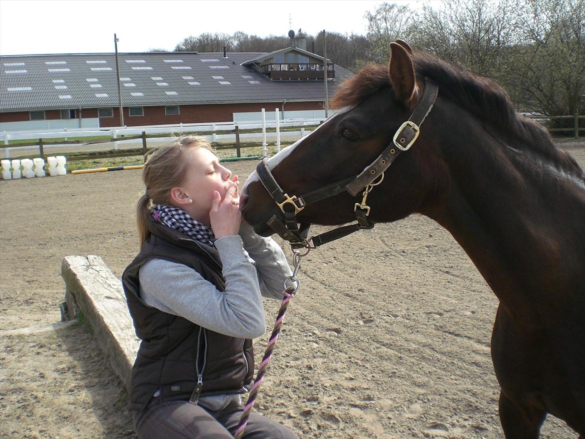 Anden særlig race Red Lady - kyss! <3 billede 7