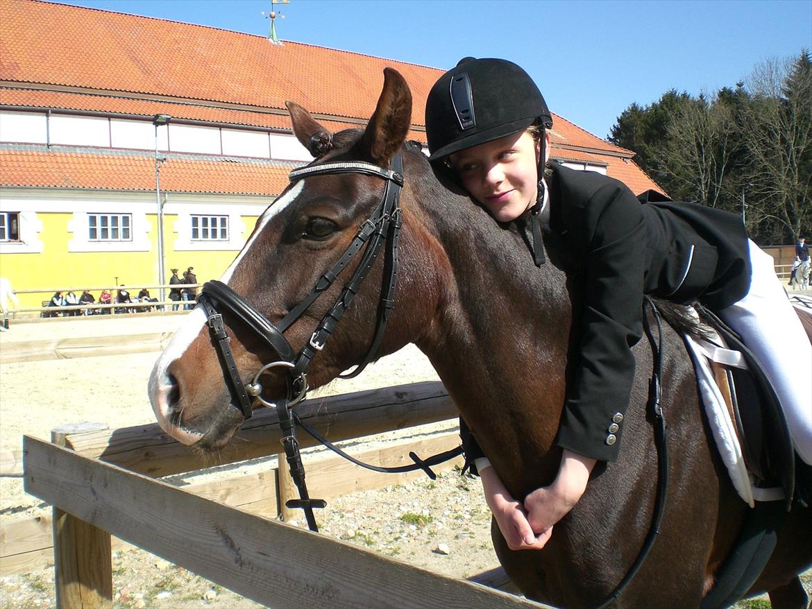 Anden særlig race Red Lady - mig og Lady til vores første stævne:) billede 14