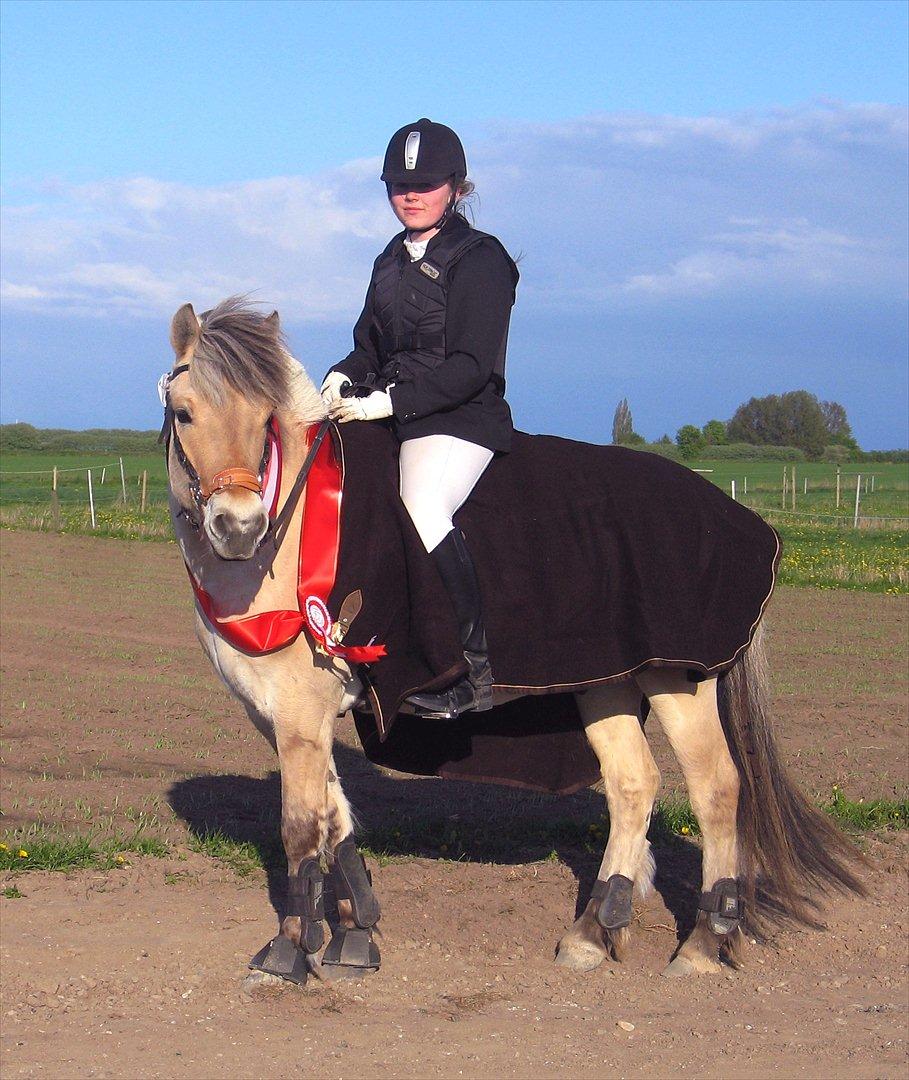 Fjordhest BG Gandalf (Fyns/klub mester!<3<3) :-* - Får man ikke den man elsker, må man elske den man får! <3<3<3<3
Fynsmester!.<3 billede 6